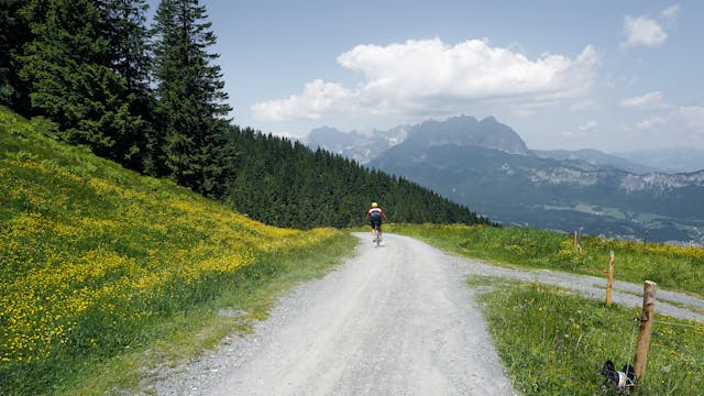 Pridruži se Vornastrellix